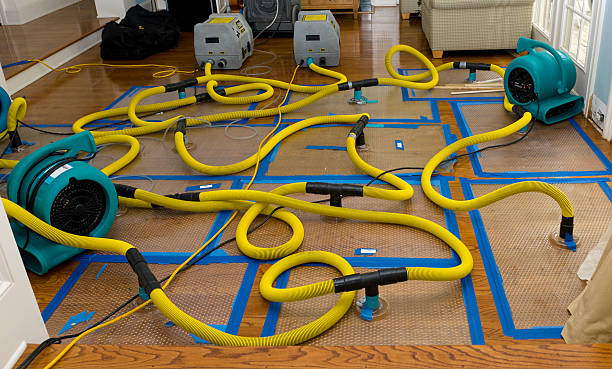 Professional Basement Flood Cleanup technician working in Escondido, CA
